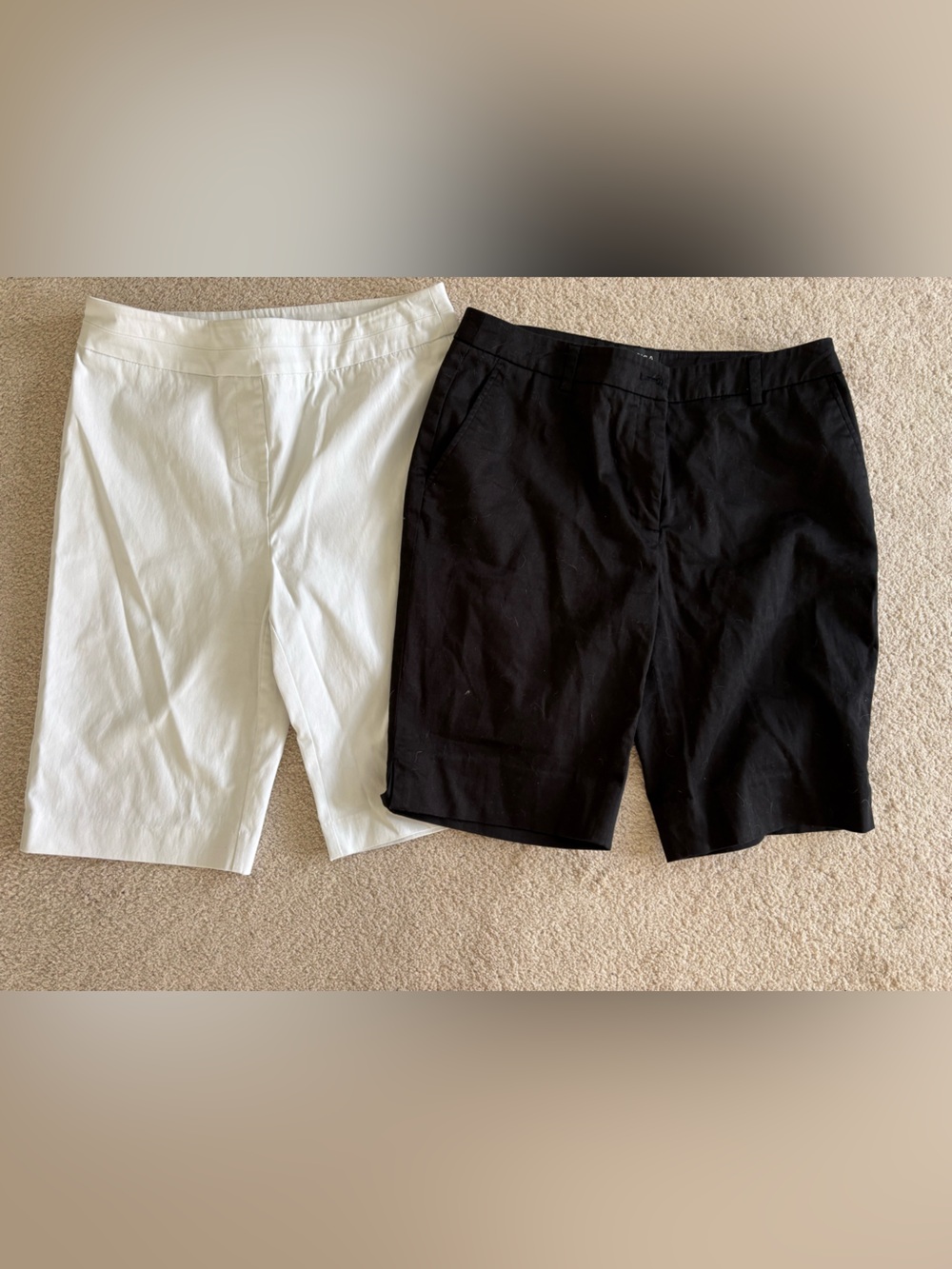 Jessica petite dressy  Bermuda Shorts in Black and White